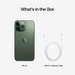 iPhone 13 Pro 256GB Alpine Green